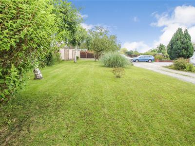 Additional Photograph